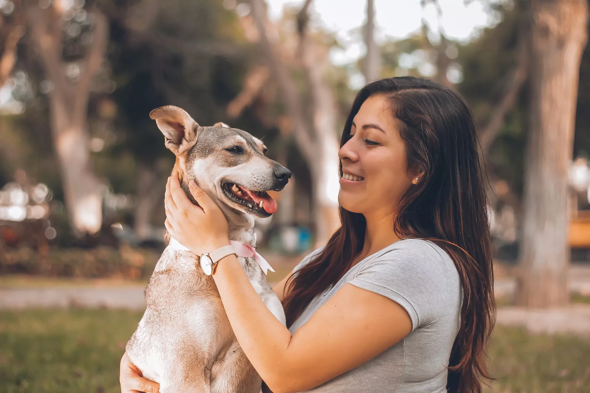 Healthy food for pets?>