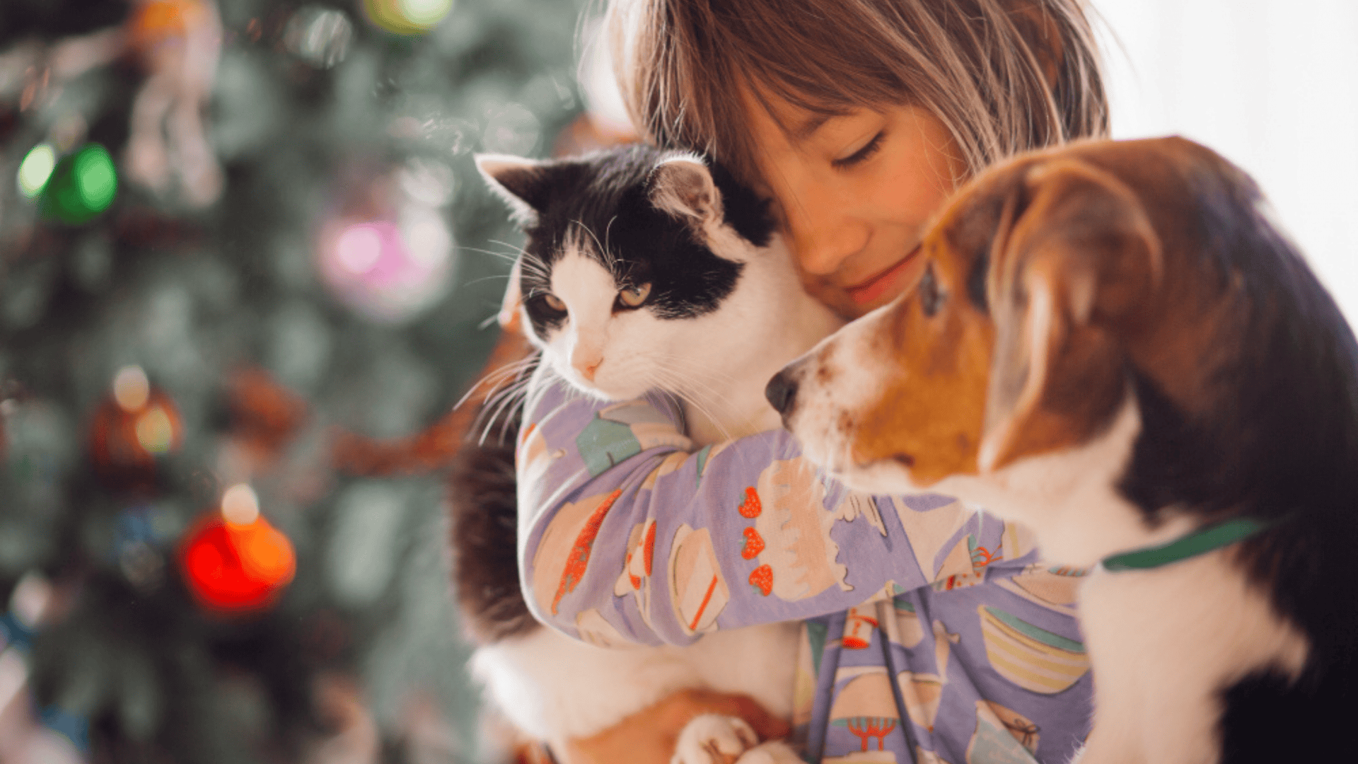 Caring for pets?>
